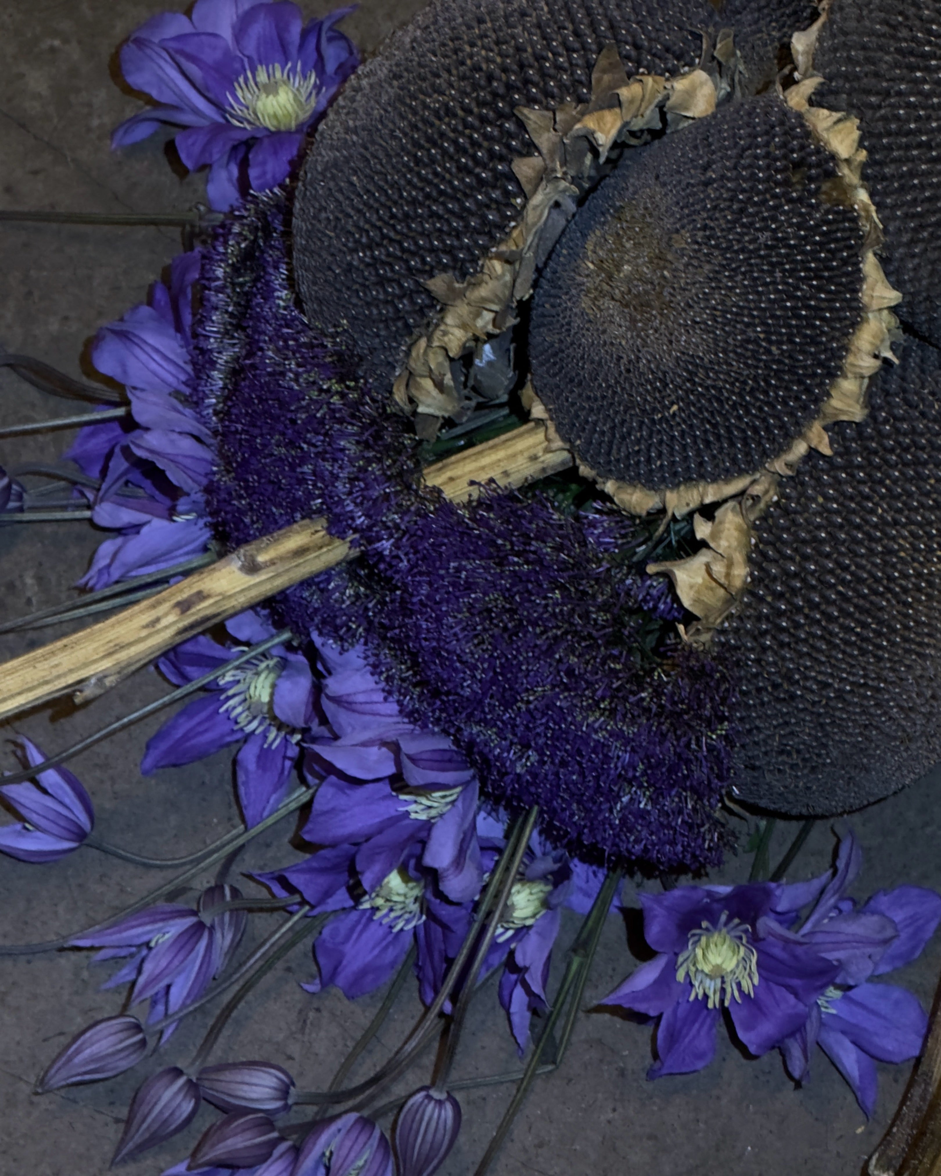 Bouquet of the Week