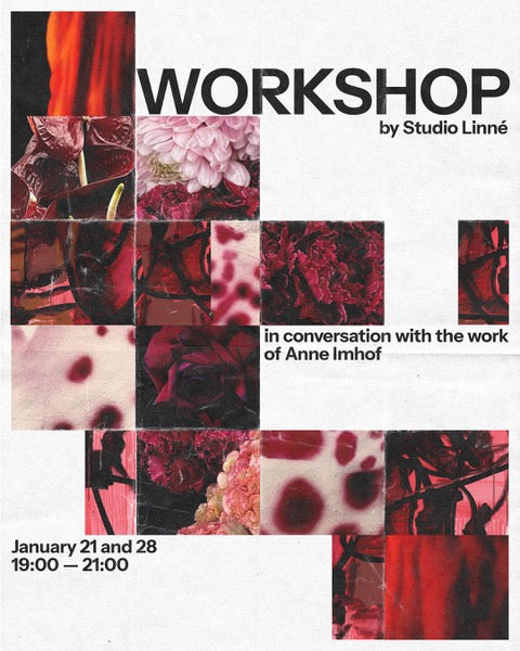 Workshop January 2026