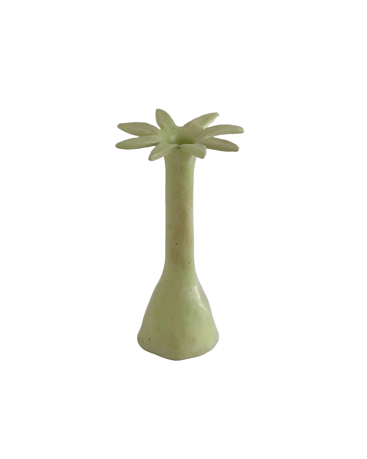 Sculptural Vases by DD World