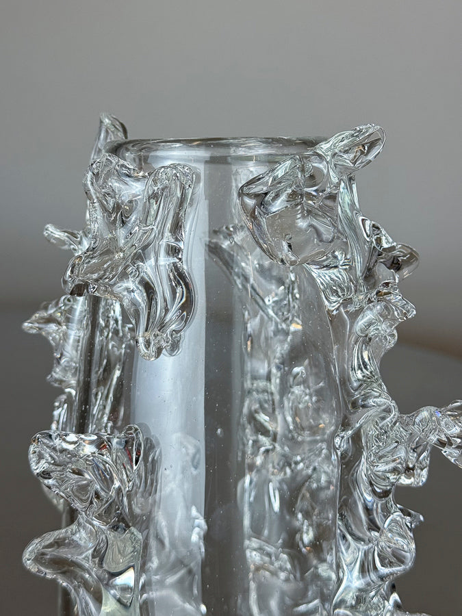 Handblown Glass Vase (21H)
