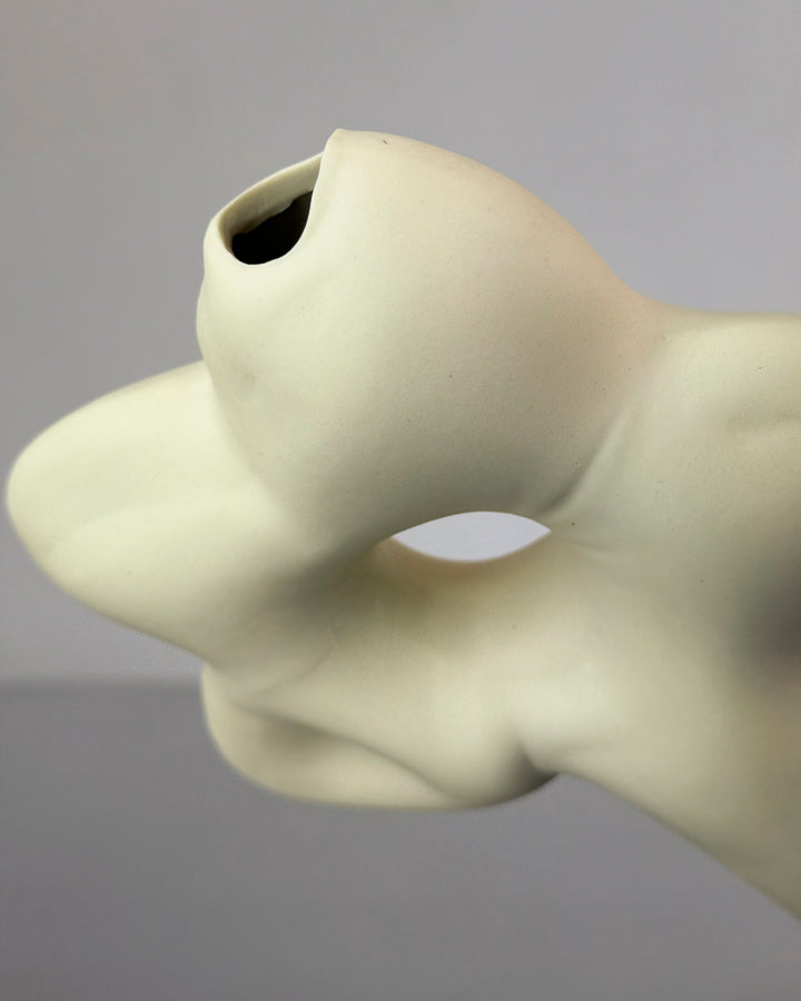 Blume Vase