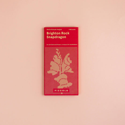 Snapdragon Brighton Rock