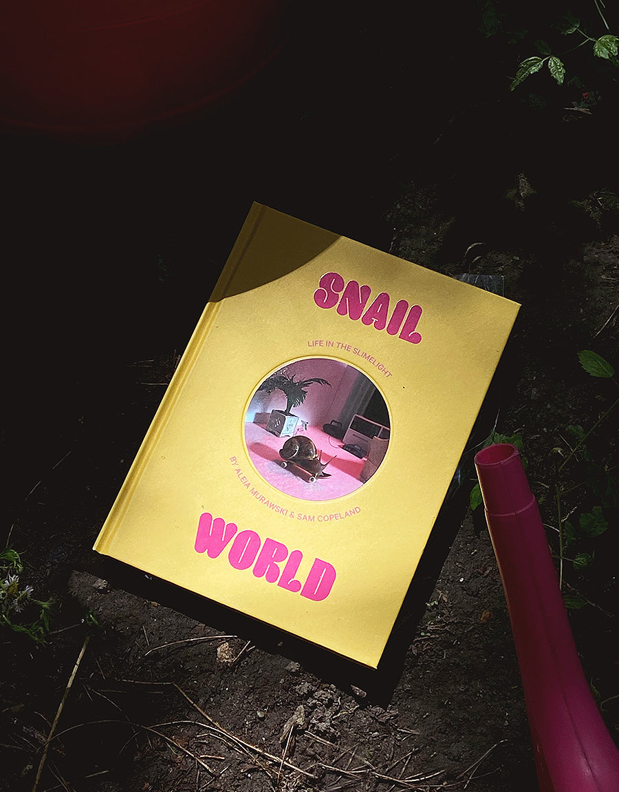 Snail World